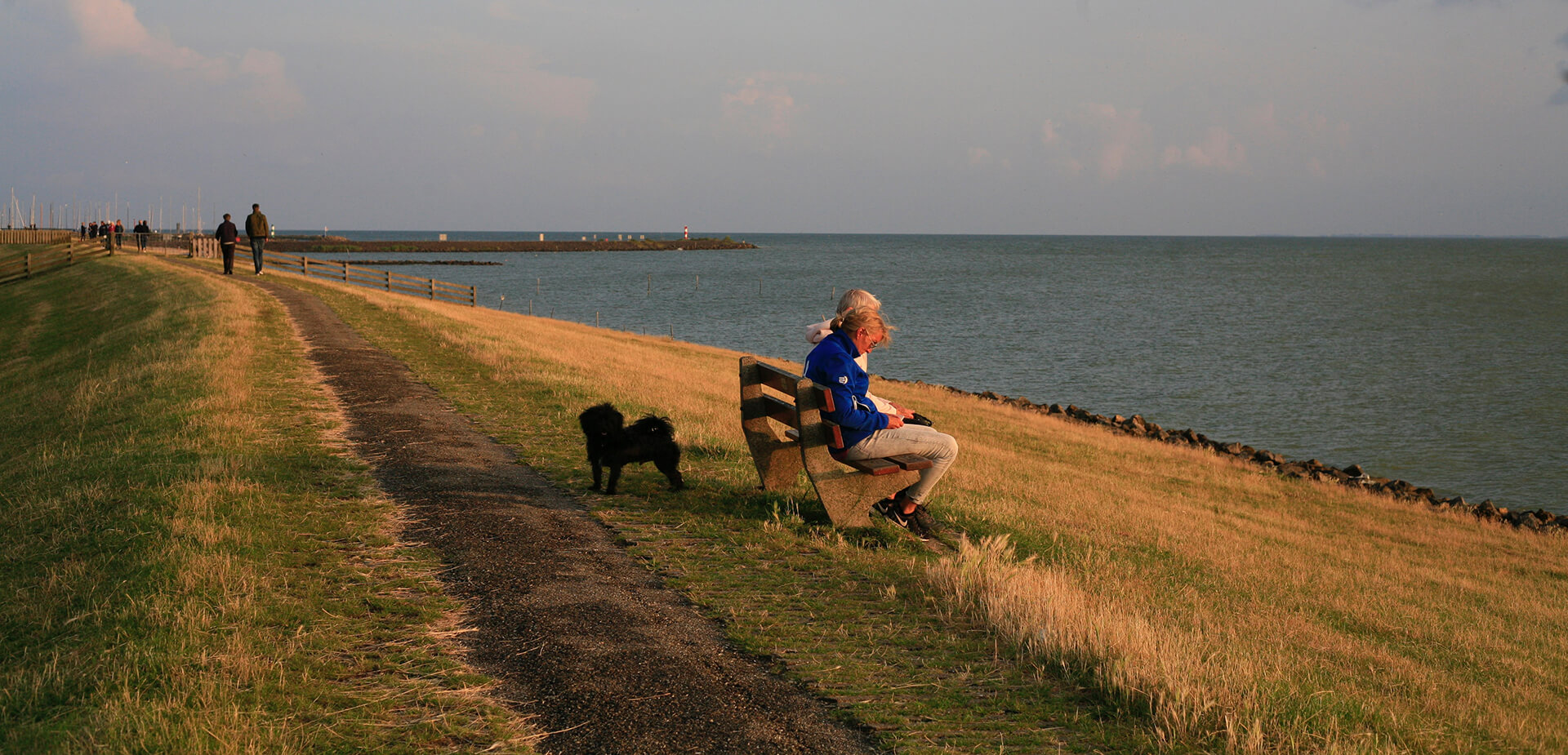 Couple de retraités observant un coucher de soleil