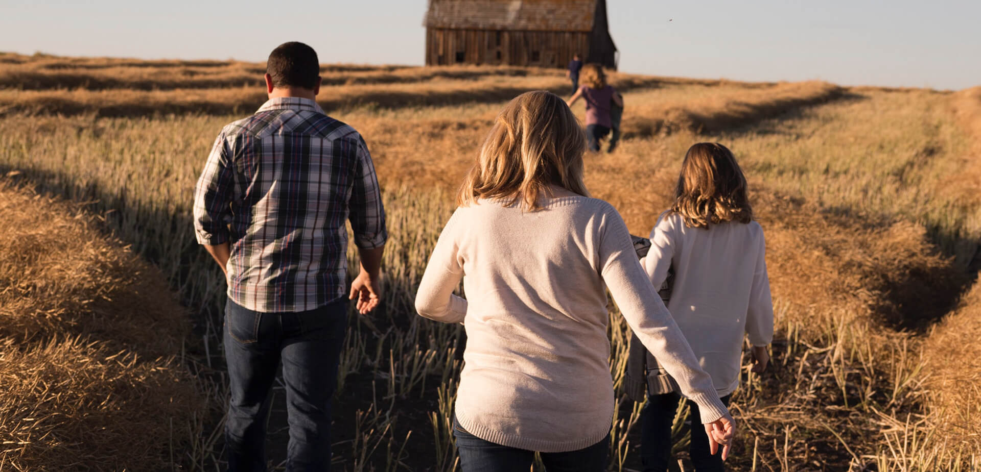 Agriculteurs dans un champs lors d'une fin d'après-midi